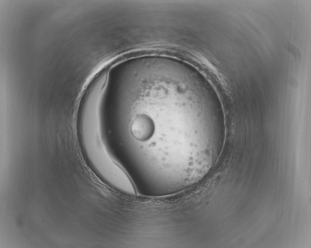 X0000116161216200912071318