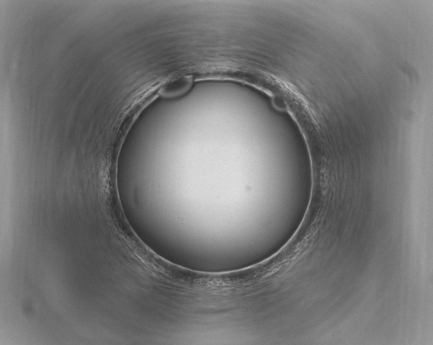 X0000116161217200912071318