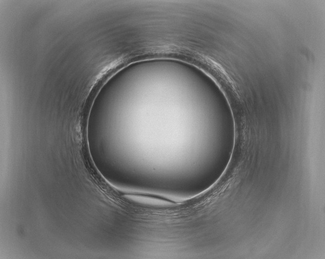 X0000116161218200912071318