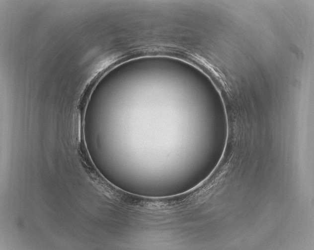 X0000116161219200912071318