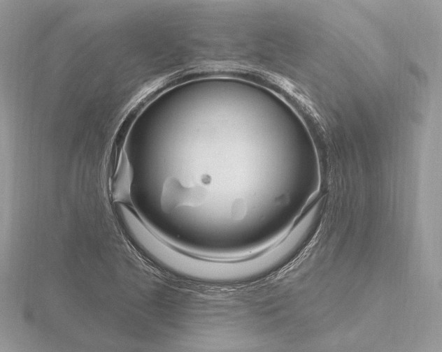 X0000116161221200912071318