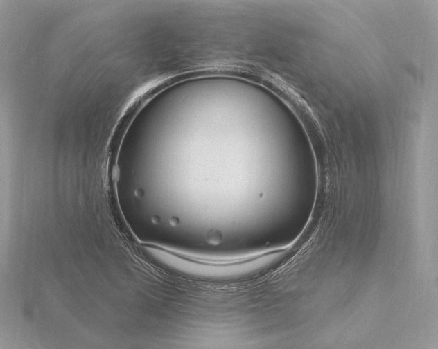 X0000116161222200912071318