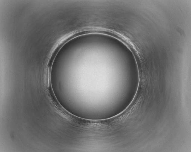 X0000116161223200912071318