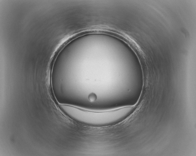 X0000116161224200912071318