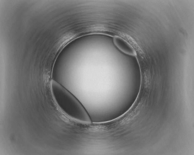 X0000116161225200912071318