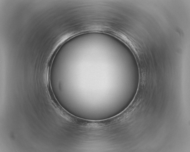 X0000116161227200912071318