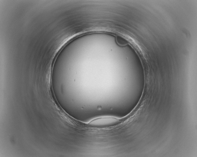 X0000116161228200912071318