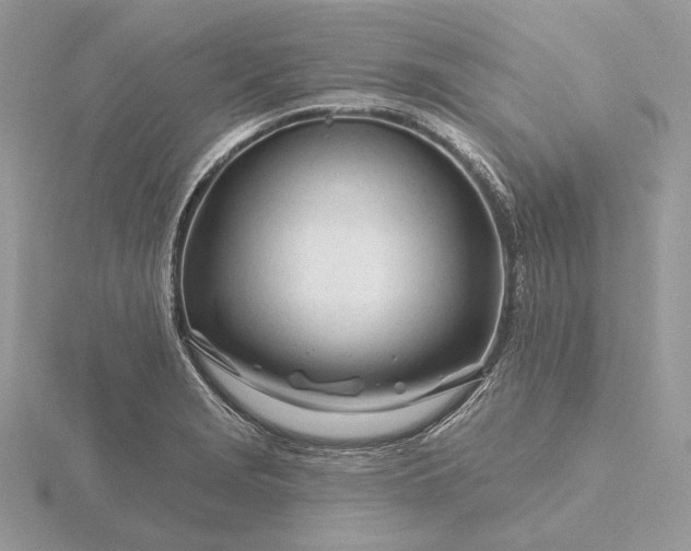 X0000116161229200912071318