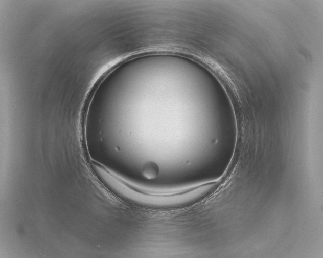 X0000116161230200912071318