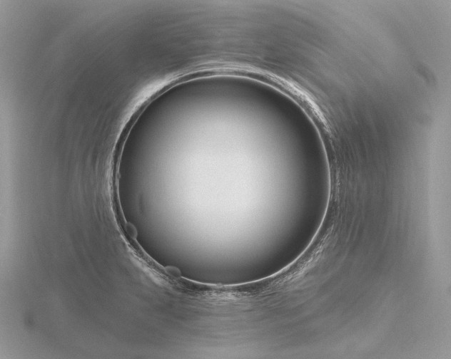 X0000116161231200912071318