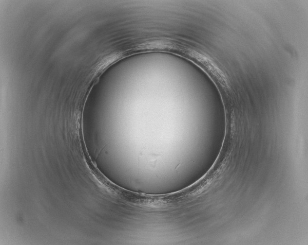 X0000116161233200912071318