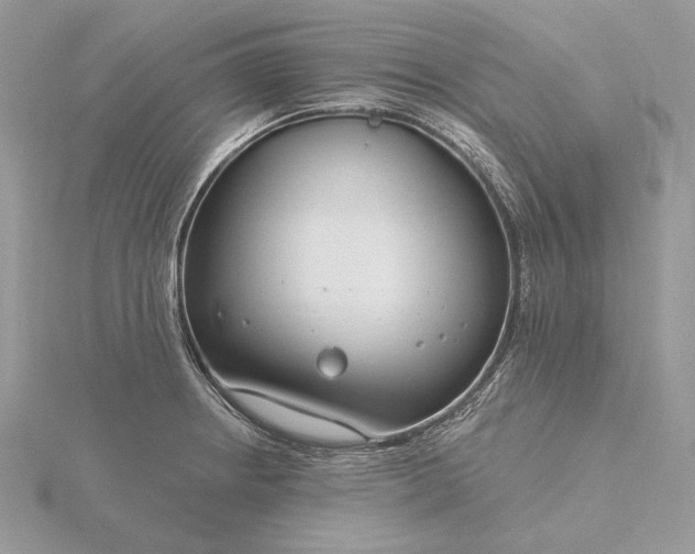 X0000116161234200912071318