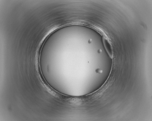 X0000116161235200912071318