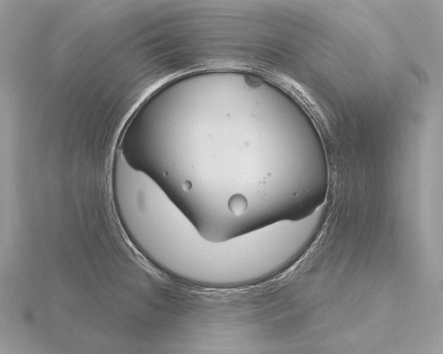 X0000116161236200912071318