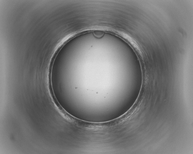 X0000116161237200912071318