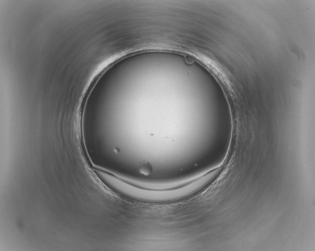 X0000116161238200912071318