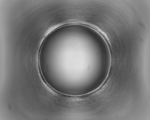 X0000116161239200912071318