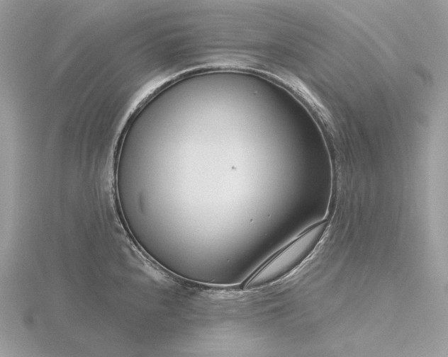 X0000116161240200912071318