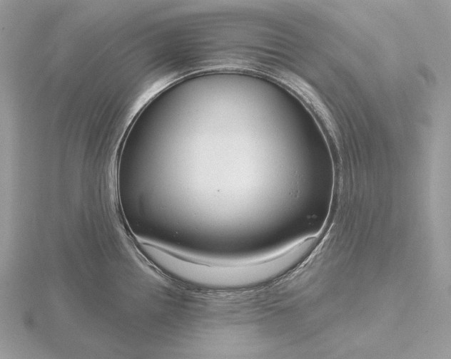 X0000116161242200912071318