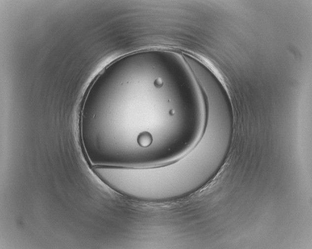 X0000116161243200912071318