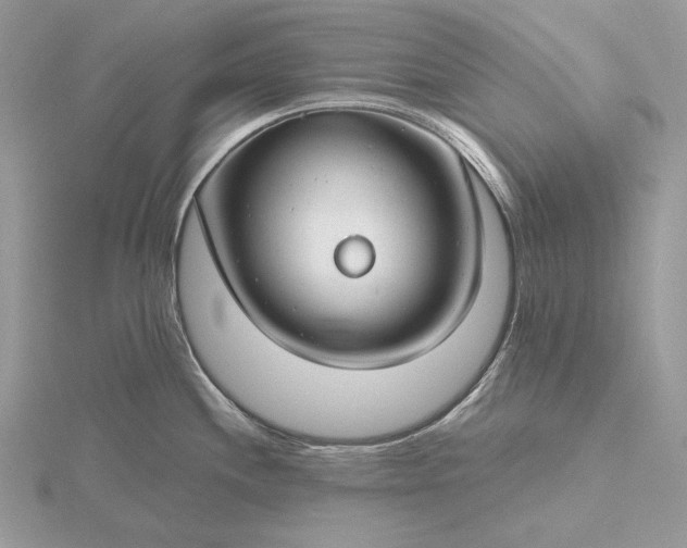 X0000116161244200912071318