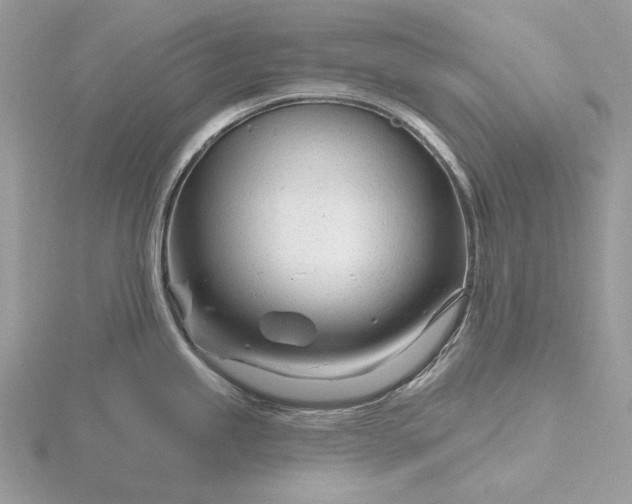 X0000116161245200912071318