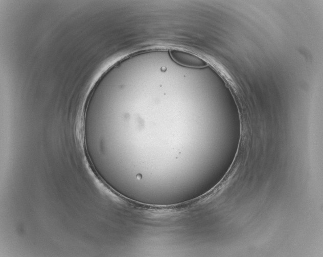 X0000116161247200912071318