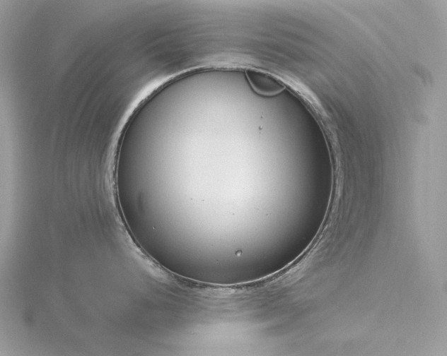 X0000116161248200912071318