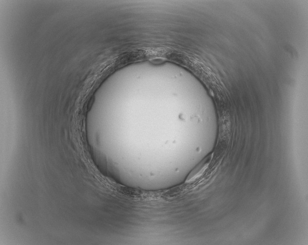 X0000116161249200912071317