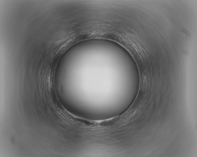 X0000116161250200912071317