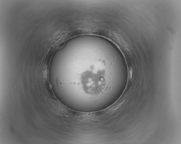 X0000116161251200912071317