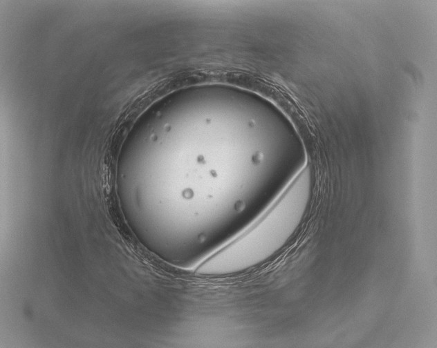 X0000116161253200912071317