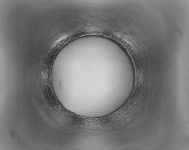 X0000116161254200912071317