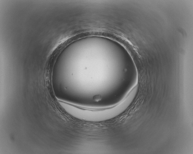 X0000116161255200912071317