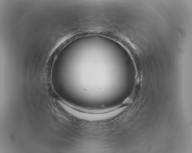 X0000116161256200912071317