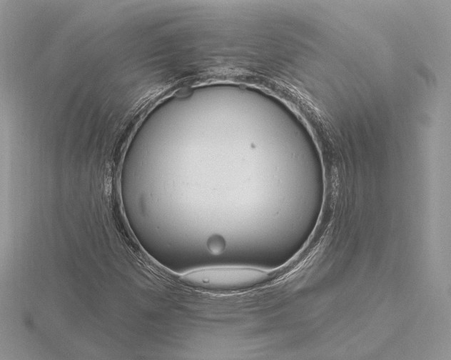 X0000116161257200912071317