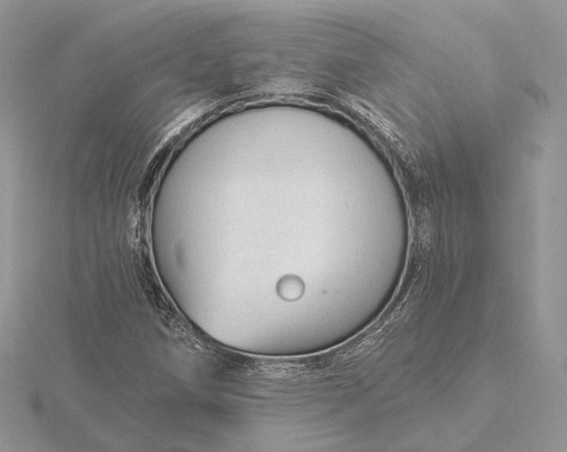 X0000116161258200912071317