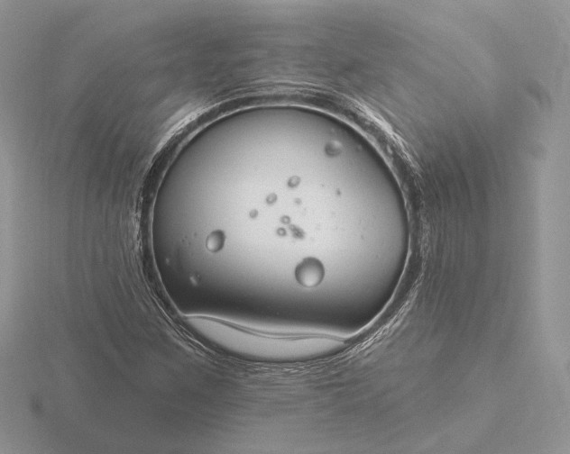 X0000116161259200912071317