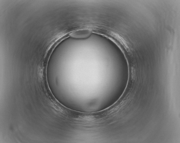 X0000116161260200912071317