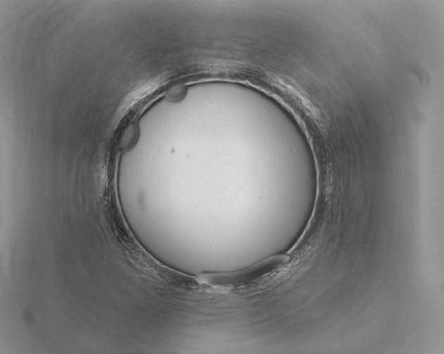 X0000116161261200912071317