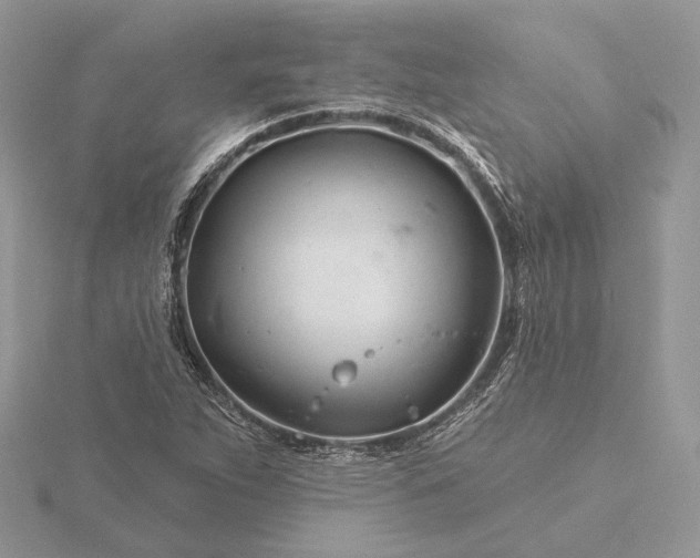 X0000116161263200912071317