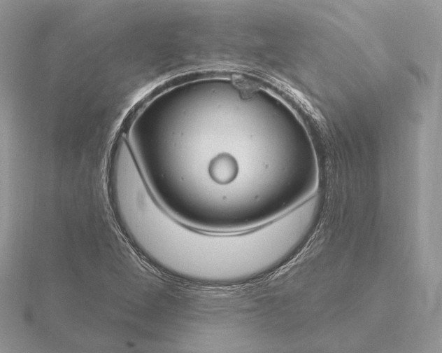 X0000116161264200912071317