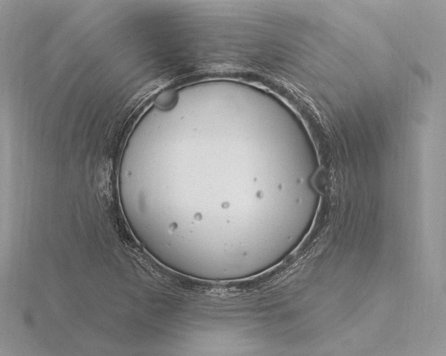 X0000116161265200912071317