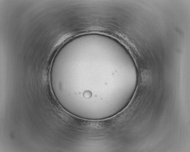 X0000116161266200912071317