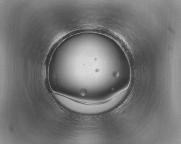 X0000116161267200912071317