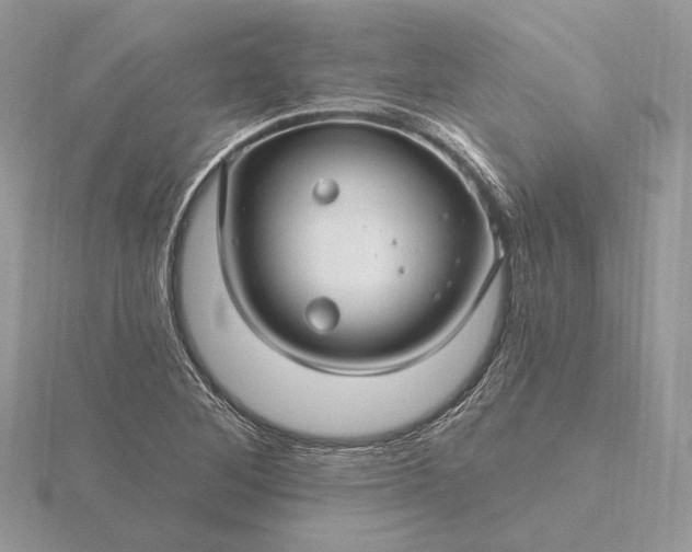 X0000116161268200912071317