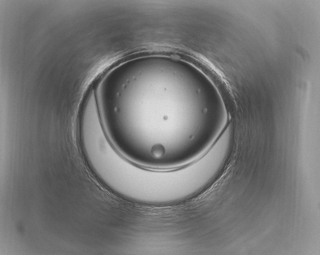 X0000116161269200912071317