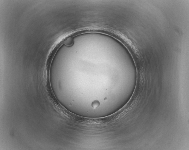 X0000116161270200912071317