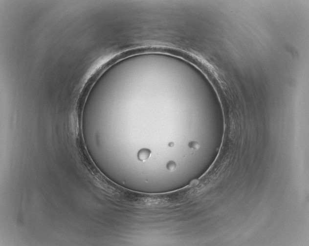 X0000116161271200912071317