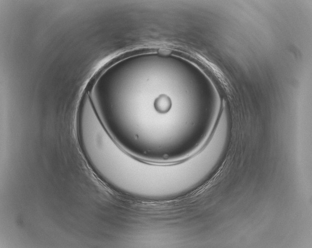 X0000116161272200912071317